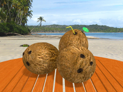 Holidays